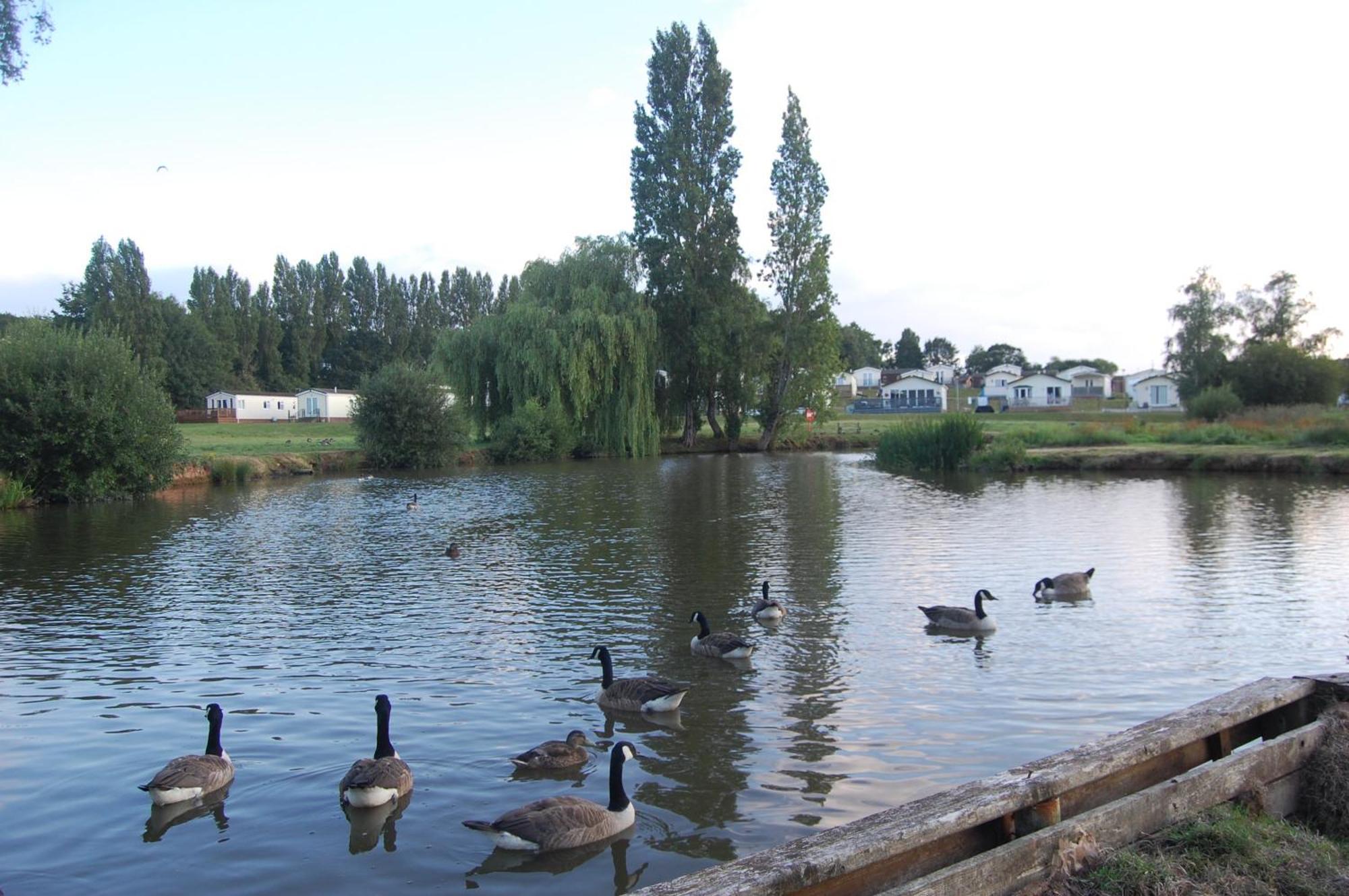 Dawlish Warren Welcome Family Holiday Park South Devon Willow Villa Welcome2Warren Exterior photo